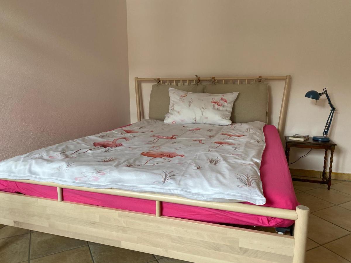 Tauglerei Appartement Bernstein In Den Zauberbergen Sankt Koloman Eksteriør billede
