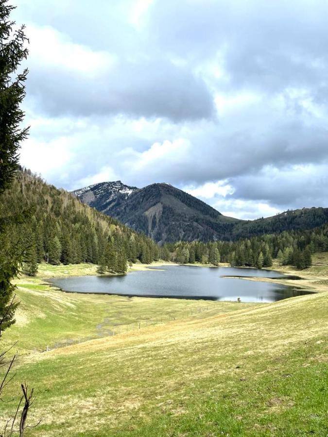 Tauglerei Appartement Bernstein In Den Zauberbergen Sankt Koloman Eksteriør billede
